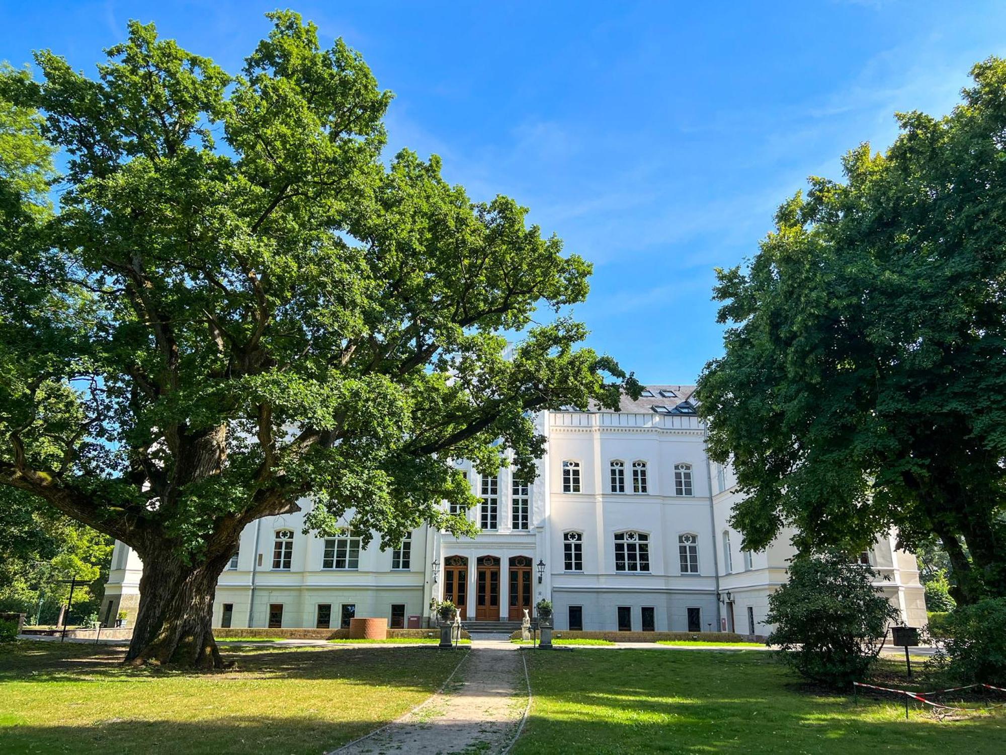 Schloss Schlemmin Exteriör bild